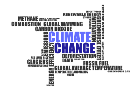Reassessing the climate action, revisiting Baseline assumptions and avoiding ‘one-fit-all’ approach