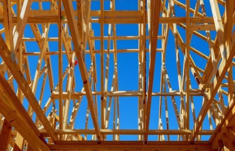 Buildings made out of timber could become an important global carbon sink